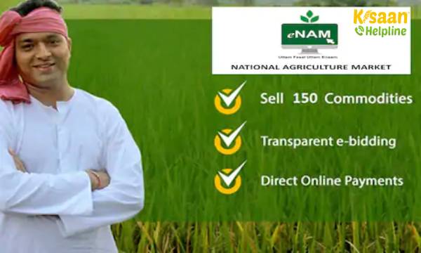 2021-22 में 1,000 से अधिक मंडियों को ई-एनएएम के साथ एकीकृत किया जाएगा: सरकार 2021-22 में 1,000 से अधिक मंडियों को ई-एनएएम के साथ एकीकृत किया जाएगा: सरकार